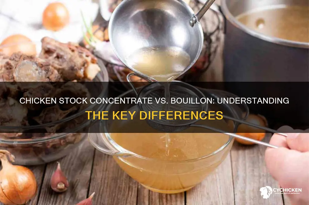 is chicken stock concentrate the same as bouillon