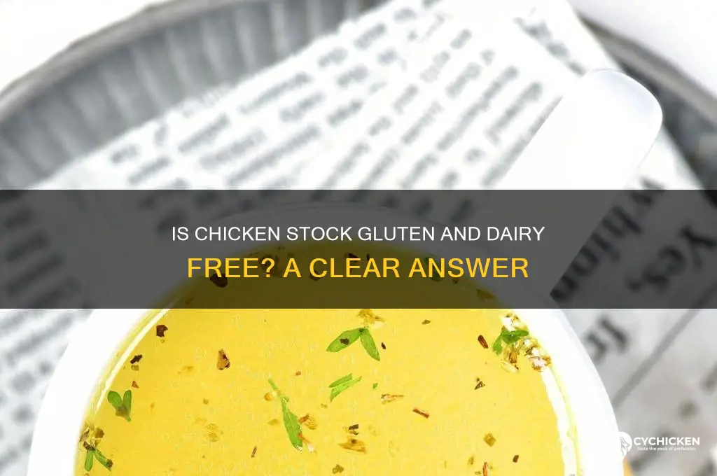is chicken stock gluten and dairy free