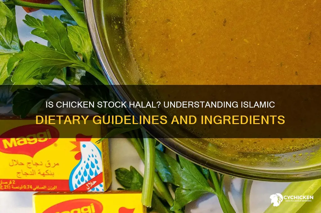 is chicken stock halal islam q&amp
