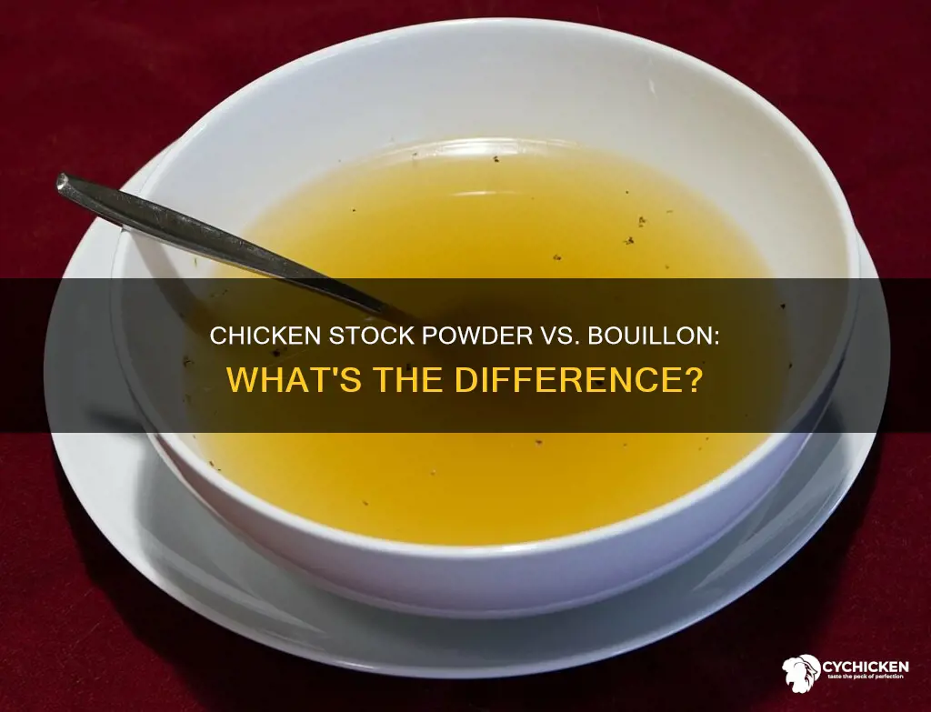 is chicken stock powder the same as chicken bouillon