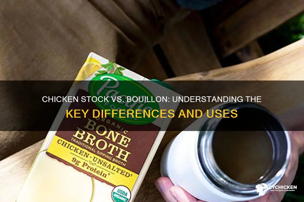 is chicken stock the same as chicken bouillon