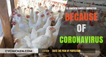 Coronavirus Impact: How the Pandemic Affects Chicken Supply Chains