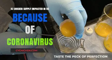 Coronavirus Impact: Chicken Supply Chain in US Disrupted