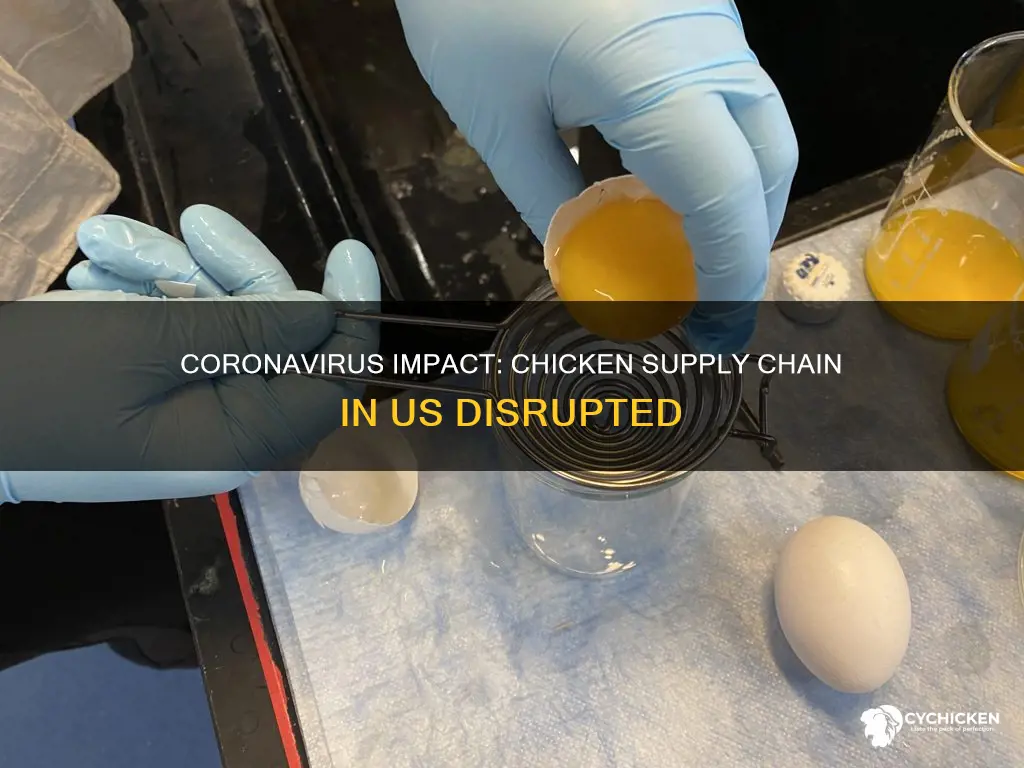 is chicken supply impacted in us because of coronavirus