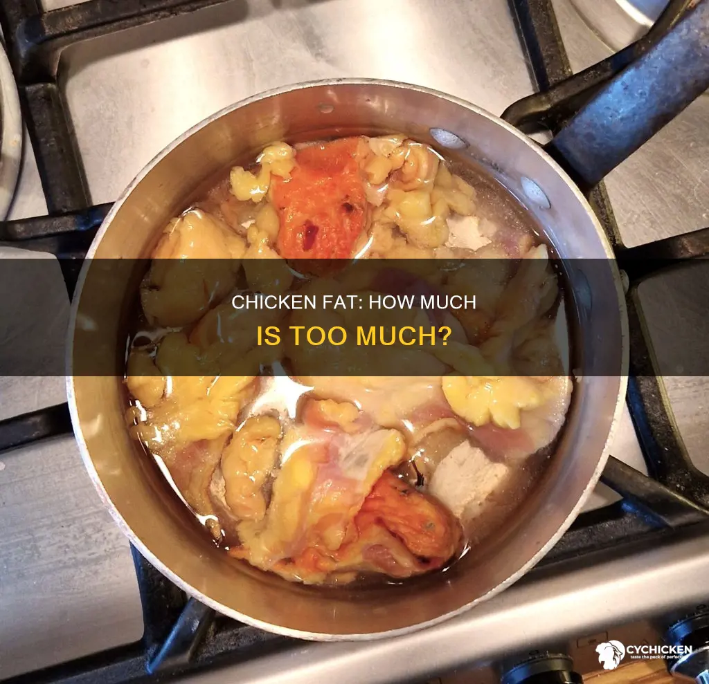 is chicken supposed to have a lot of fat