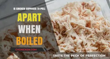 Is Chicken Supposed to Pull Apart When Boiled? Cooking Tips