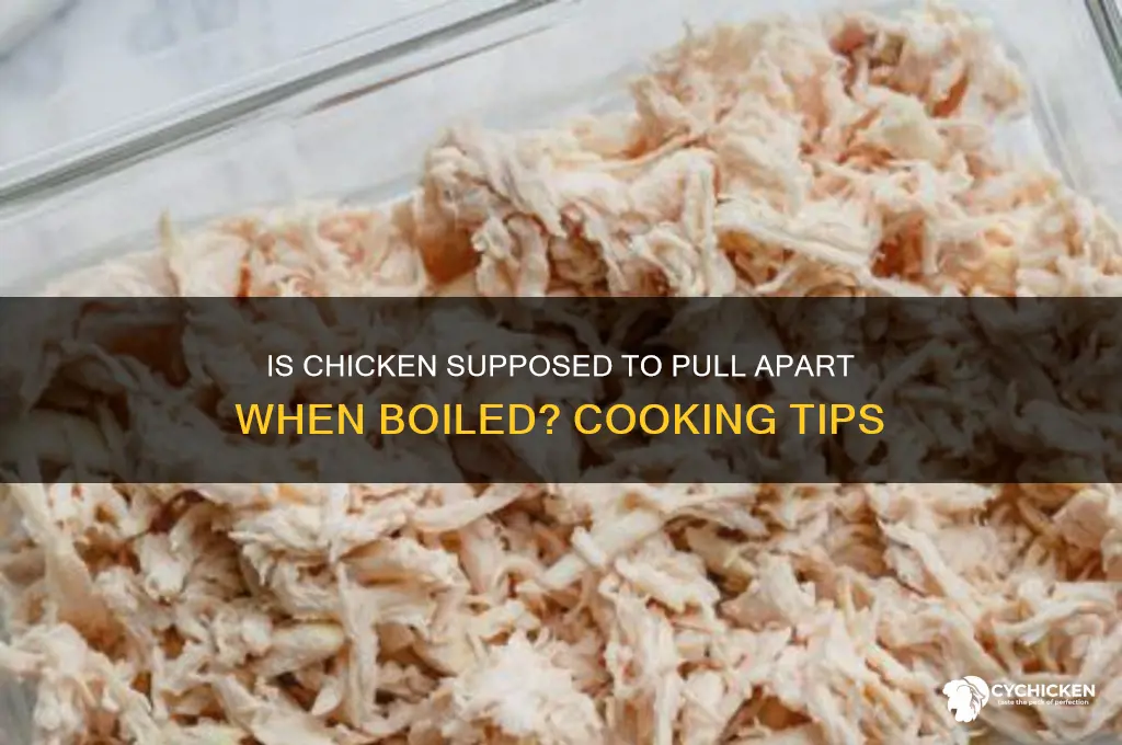is chicken supposed to pull apart when boiled