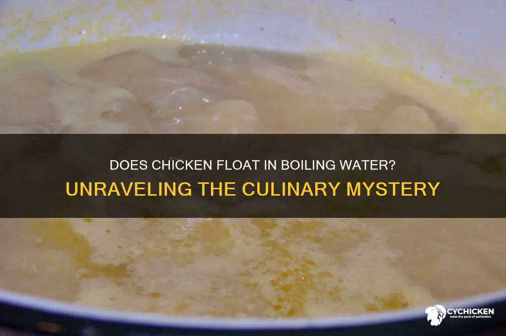 is chicken suppsto float in boiling water