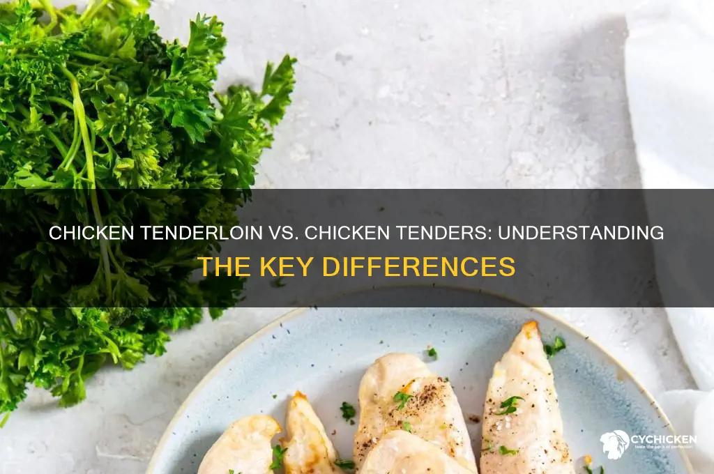 is chicken tenderloin the same as chicken tenders