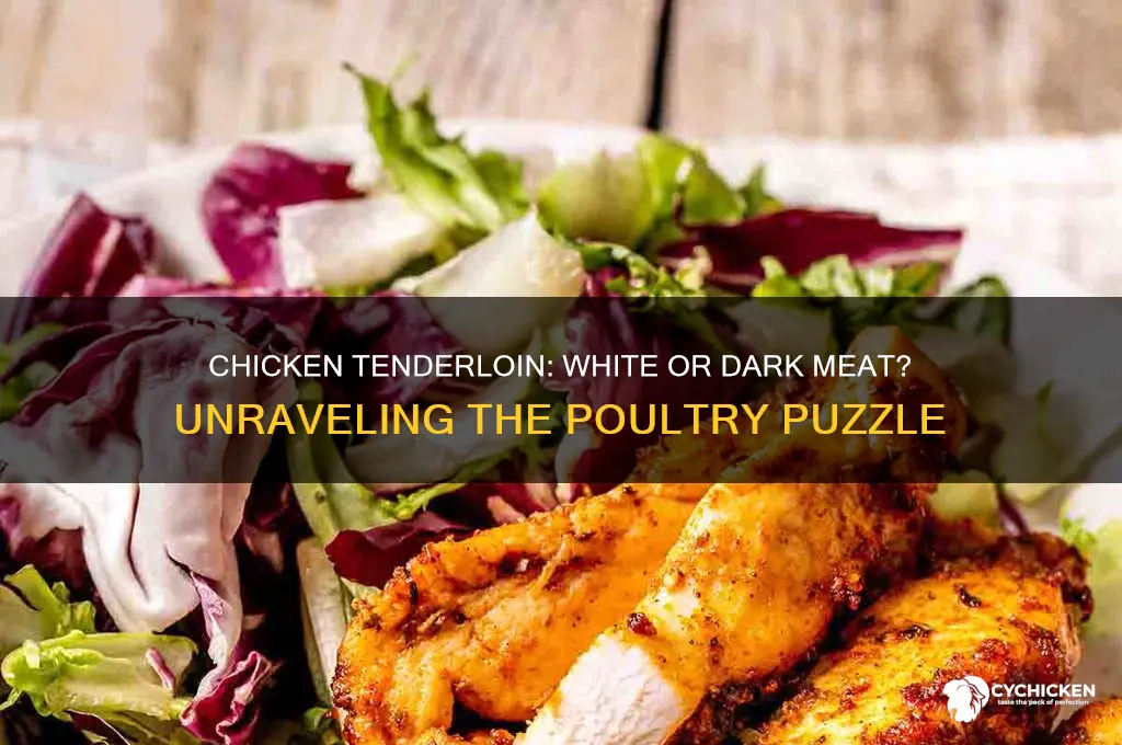 is chicken tenderloin white or dark meat