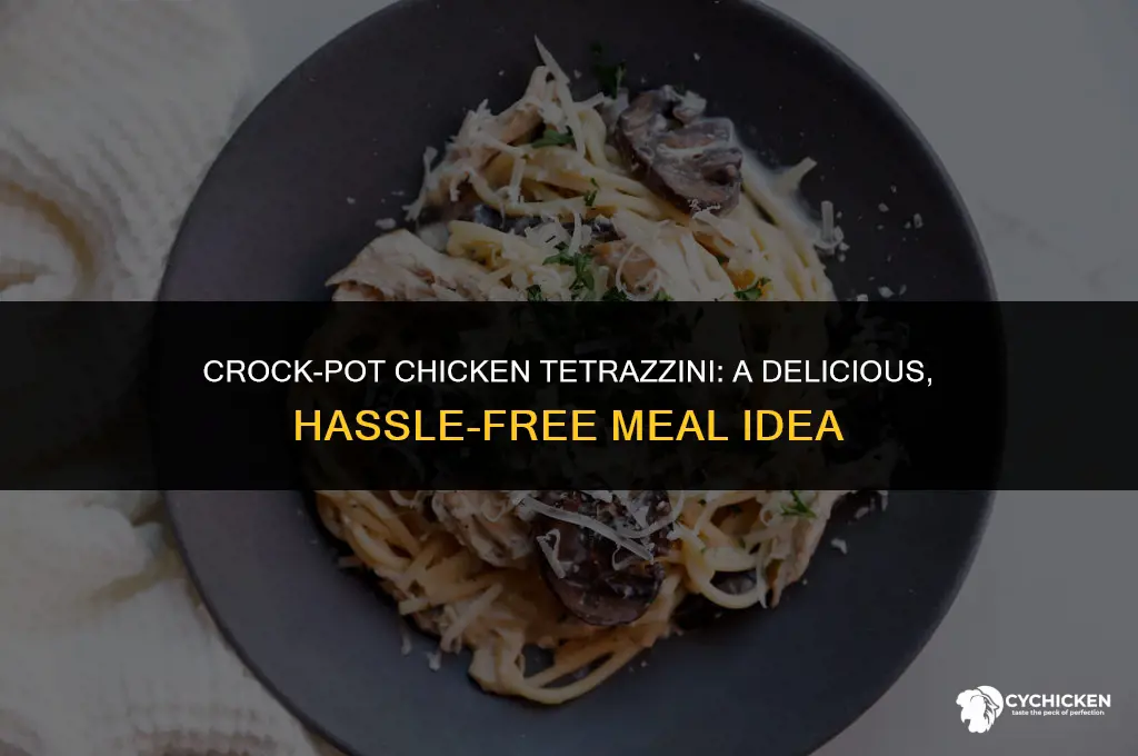 is chicken tetrazzini can you take it 8n the crock-pot