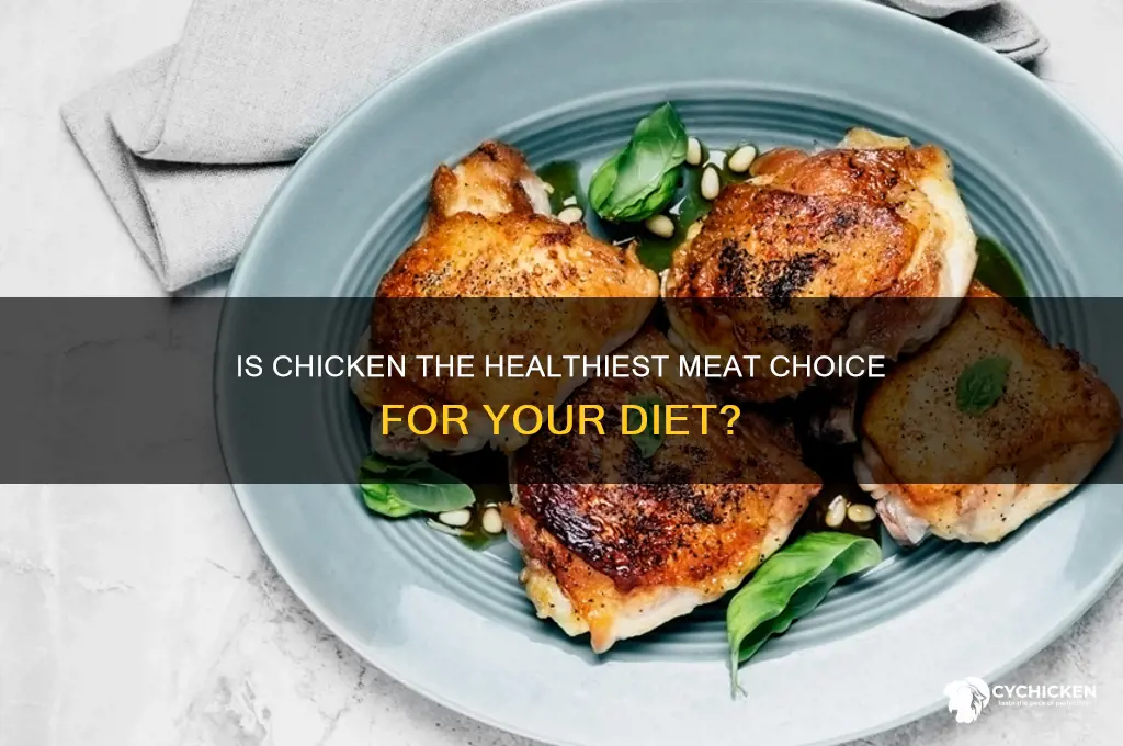 is chicken the best meat for you