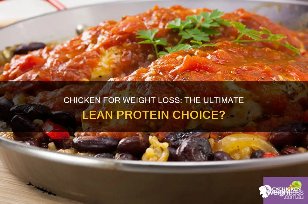 is chicken the best meat to lose weight