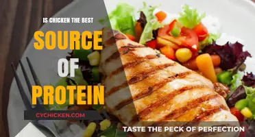 Is Chicken the Ultimate Protein Source? Exploring Nutritional Benefits