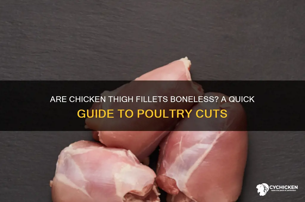 is chicken thigh fillet boneless