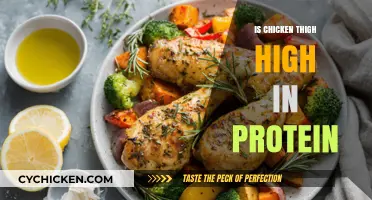 Chicken Thigh Protein Content: Is It a High-Protein Choice?
