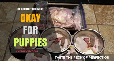 Can Puppies Eat Chicken Thigh Meat? A Vet-Approved Guide