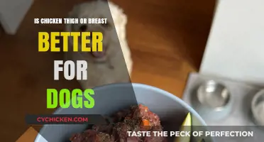 Chicken Thigh vs. Breast: Which is Healthier for Your Dog?