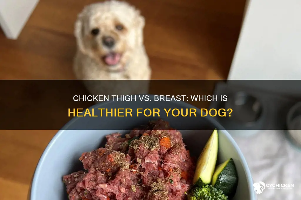 is chicken thigh or breast better for dogs