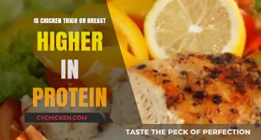 Chicken Thigh vs. Breast: Which Has More Protein?