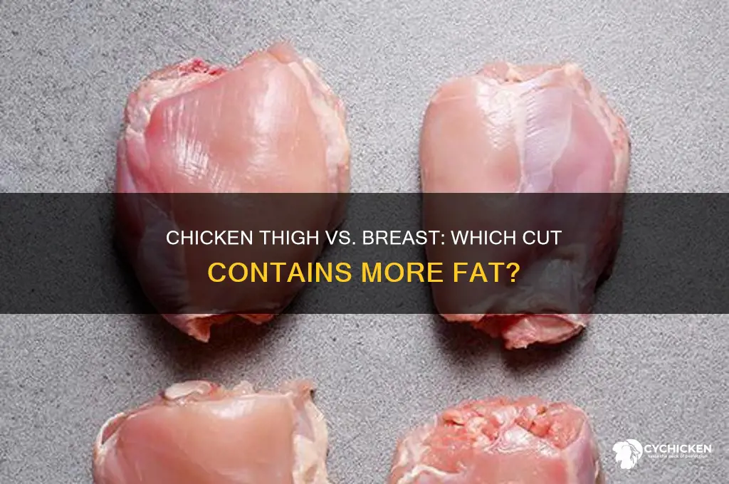 is chicken thigh or breast more fat
