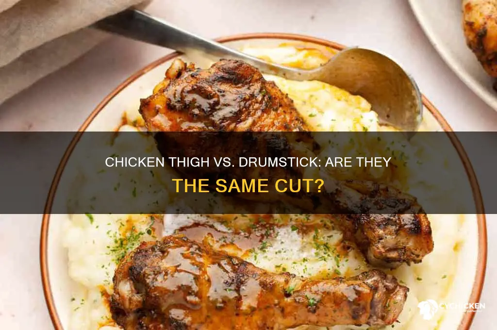 is chicken thigh or drumstick same thing