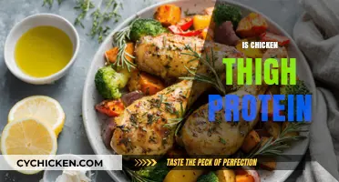 Is Chicken Thigh Protein Healthy? Nutritional Benefits Explained