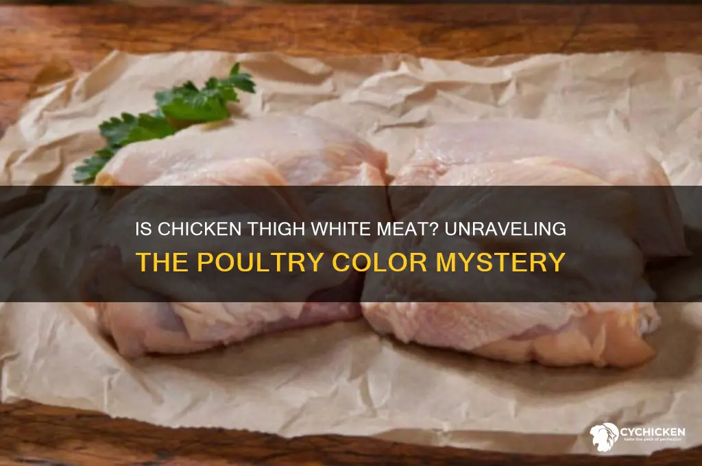 is chicken thigh white meat