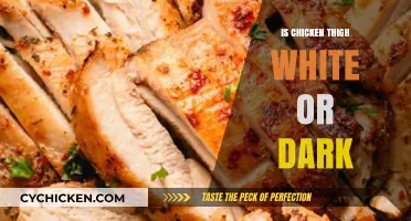 Chicken Thigh Color Debate: Unraveling the White vs. Dark Mystery