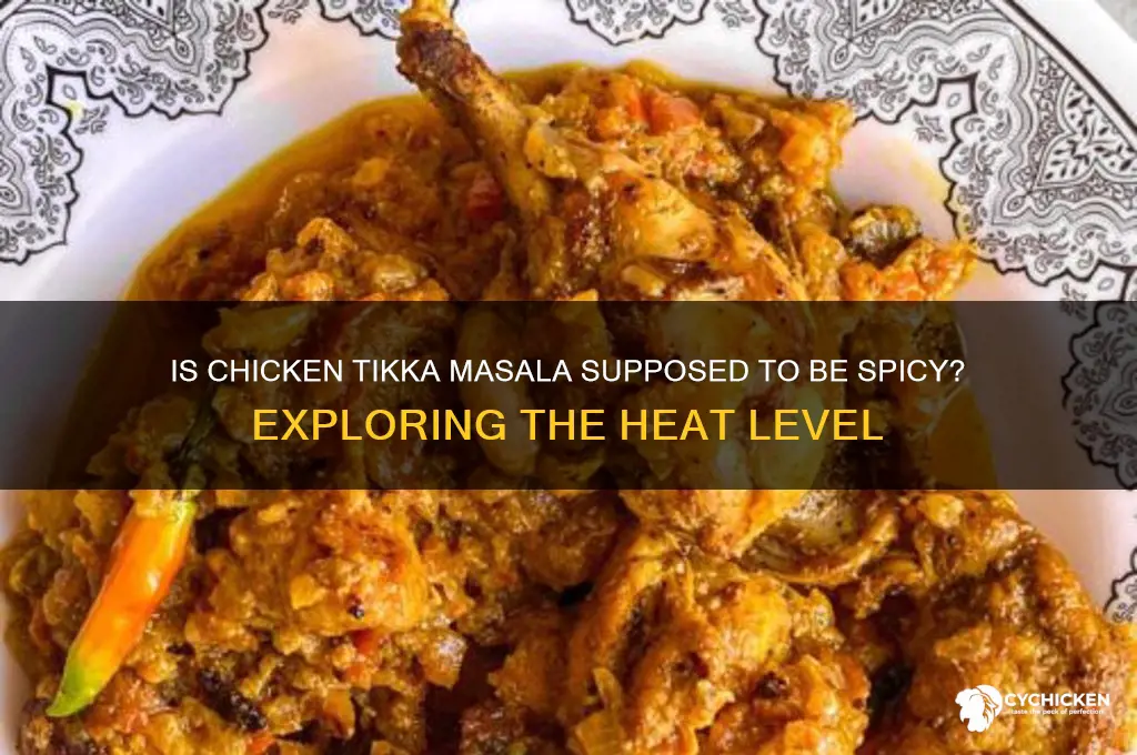 is chicken tikka masala supposed to be spicy