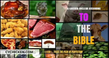 Is Chicken Unclean? Biblical Insights on Dietary Laws and Purity