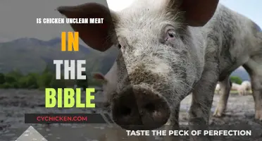 Is Chicken Unclean? Biblical Insights on Meat Consumption