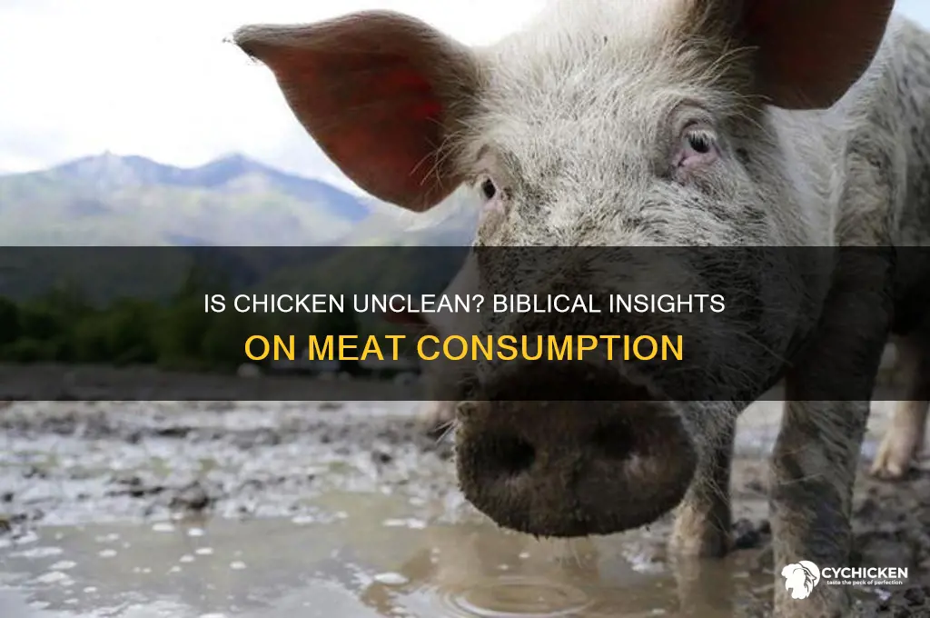 is chicken unclean meat in the bible