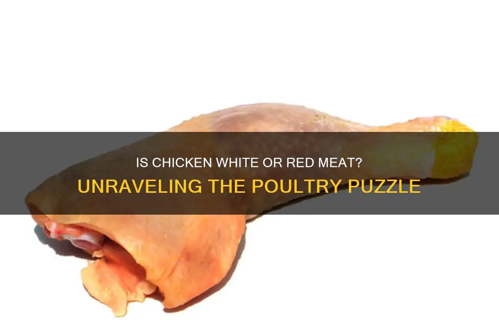 is chicken white meat or red meat