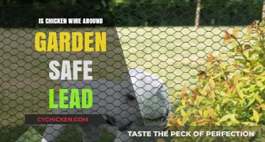 Is Chicken Wire Safe for Gardens? Lead Concerns Explained