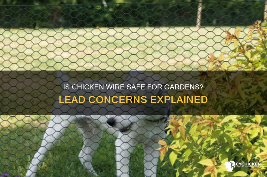 is chicken wire around garden safe lead