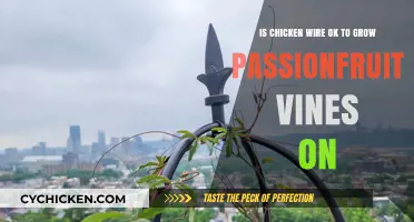 Chicken Wire for Passionfruit Vines: Good or Bad?
