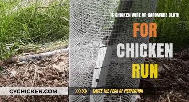 Chicken Wire vs Hardware Cloth: Which is Best for Chicken Runs?