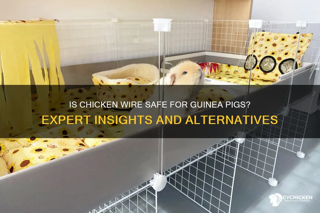 is chicken wire safe for guinea pigs
