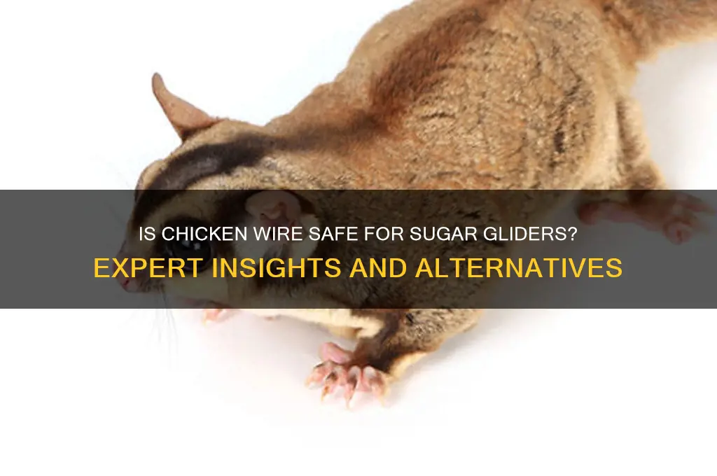 is chicken wire safe for sugar gliders