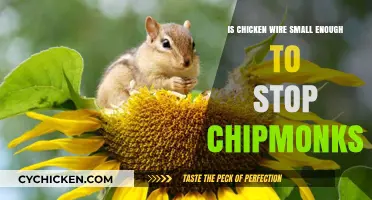 Can Chicken Wire Effectively Deter Chipmunks? A Detailed Analysis