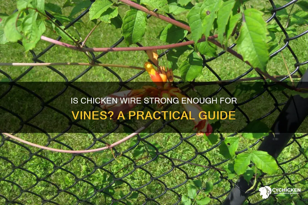 is chicken wire stron enough for vines