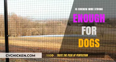 Is Chicken Wire a Reliable Dog Fence? Strength and Safety Explained