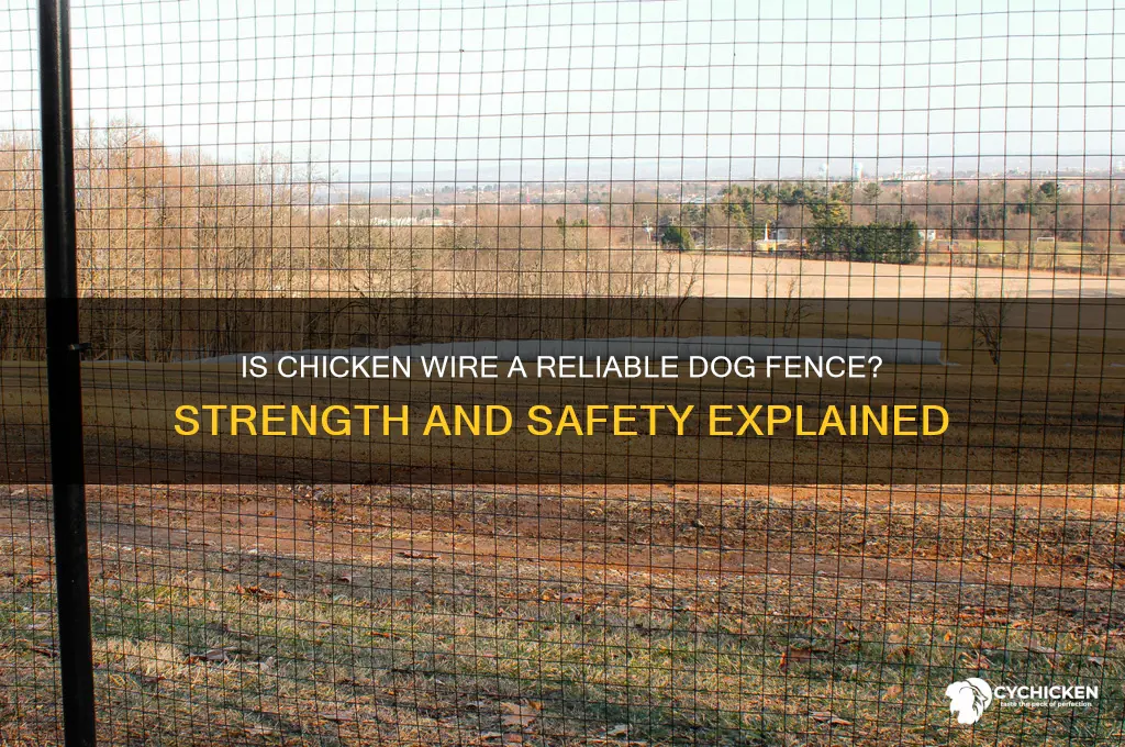is chicken wire strong enough for dogs