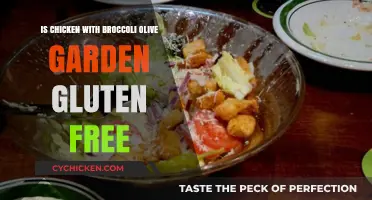 Is Olive Garden's Chicken with Broccoli Gluten-Free? Find Out!