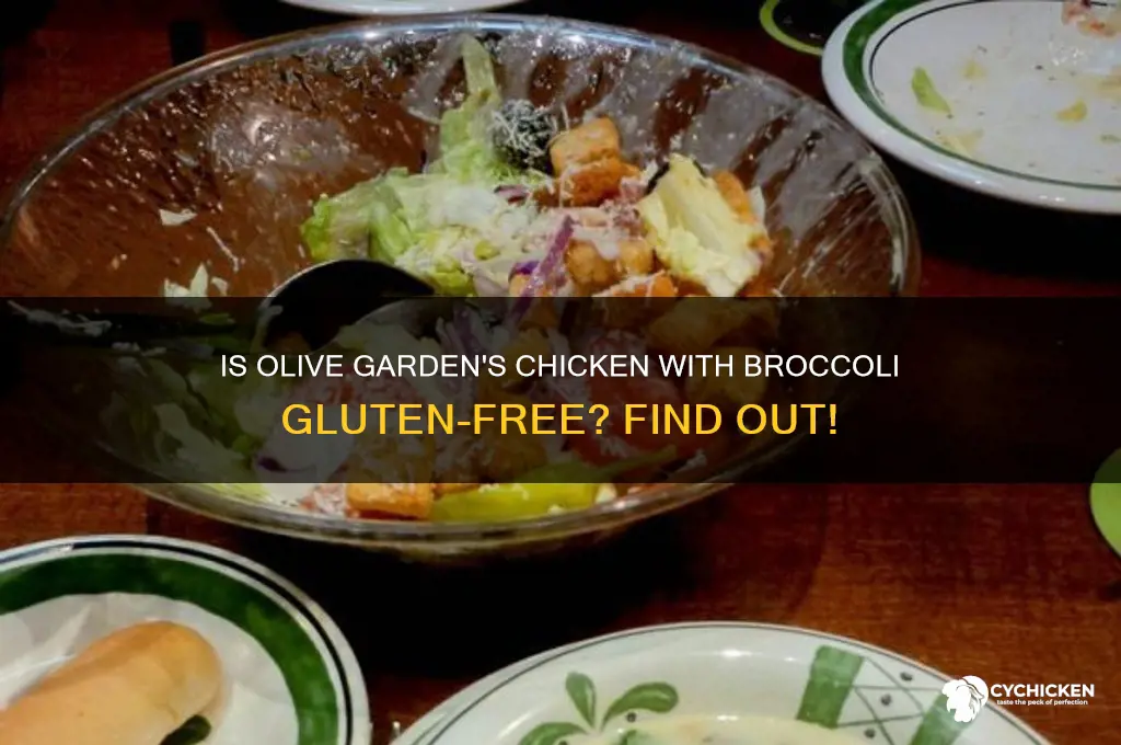 is chicken with broccoli olive garden gluten free