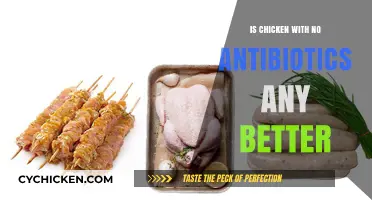 Antibiotic-Free Chicken: Healthier Choice or Marketing Hype?