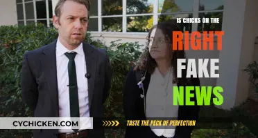 Chicks on the Right: Fake News or Legitimate Commentary?