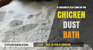 Play Sand for Chicken Dust Baths: Safe?
