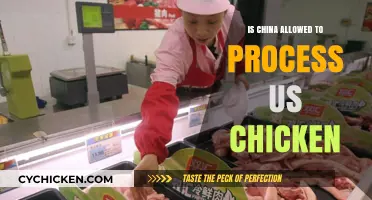 Can China Process US Chicken? Exploring Trade Regulations and Food Safety